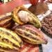 EXPORTATION VERS LES ETATS-UNIS – La vanille, le cacao, les épices et certaines huiles essentielles non soumis au droit additionnel de 15%