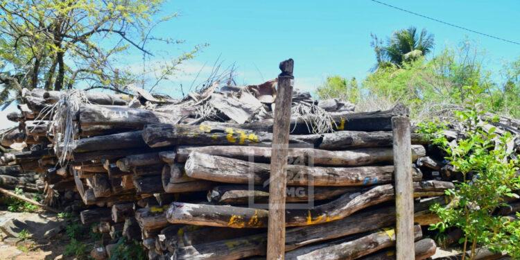 RESSOURCES STRATÉGIQUES – Herintsalama Rajaonarivelo insiste sur la priorité de la préservation et de la sécurisation des stocks de bois de rose avant toute vente