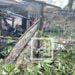 CYCLONE – Le système des Nations Unies débloque une enveloppe de 5 millions de dollars pour Gezani