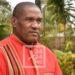 ADMINISTRATION – Jean Brunelle Razafitsiandraofa désigné chef de région par intérim de Fitovinany par le Conseil des ministres