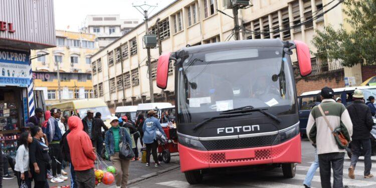 FÊTE NATIONALE – 250 bus Foton mobilisés pour transporter gratuitement le public des festivités de l’Indépendance