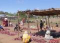 FINANCEMENT – 90 millions de dollars de la Banque mondiale pour fortifier son enveloppe nutrition à Madagascar
