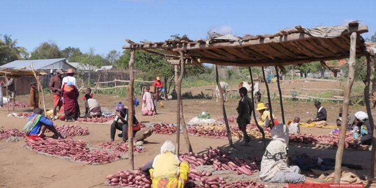 FINANCEMENT – 90 millions de dollars de la Banque mondiale pour fortifier son enveloppe nutrition à Madagascar
