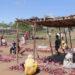FINANCEMENT – 90 millions de dollars de la Banque mondiale pour fortifier son enveloppe nutrition à Madagascar