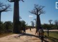TOURISME – Du coucher au lever du soleil, l&rsquo;expérience Allée des baobabs se diversifie