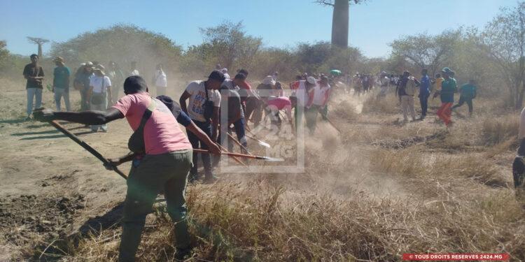 ENVIRONNEMENT – Des pares-feux accessibles en voiture pour renforcer la lutte contre les incendies dans l’aire protégée de l’Allée des Baobabs