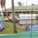 ÉPIDÉMIE – Un nourrisson d’un mois succombe à la Mpox à Toamasina