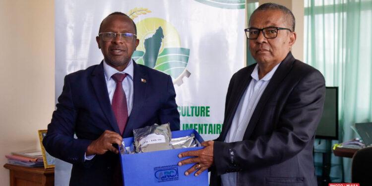 RIZICULTURE – Les semences mères améliorées égyptiennes remises au Fofifa pour contrôle sanitaire, mise en quarantaine et expérimentation