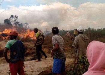 INCENDIE – Près de dix hectares de brousse et une plantation d’eucalyptus ravagés par les flammes à Andranofeno Sud sur la RN4