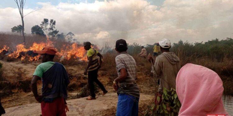 INCENDIE – Près de dix hectares de brousse et une plantation d’eucalyptus ravagés par les flammes à Andranofeno Sud sur la RN4