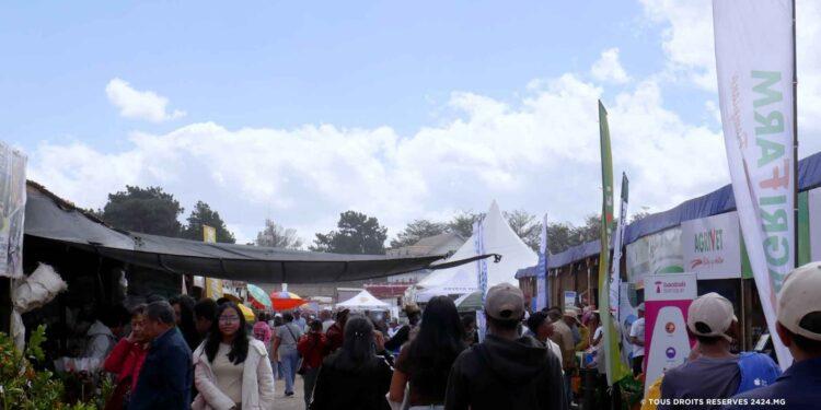 ÉVÉNEMENT – Des clients étrangers venus de La Réunion, Belgique, Afrique du Sud et France pour les produits malgaches exposés à la Fier Mada