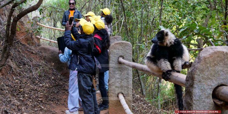 EDUCATION – Plus de 37 500 enfants sensibilisés à l&rsquo;environnement grâce au partenariat entre Colas Madagascar et Lemurs&rsquo; Park