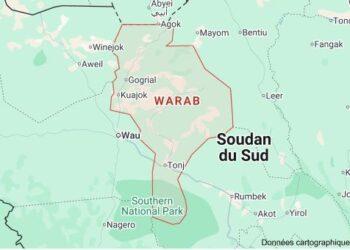 INSECURITE – Au moins 60 morts dans deux attaques liées à des vols de bétail dans le Nord-Ouest du Soudan du Sud